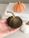 Velvet pumpkins tallo dorado (3 colores)