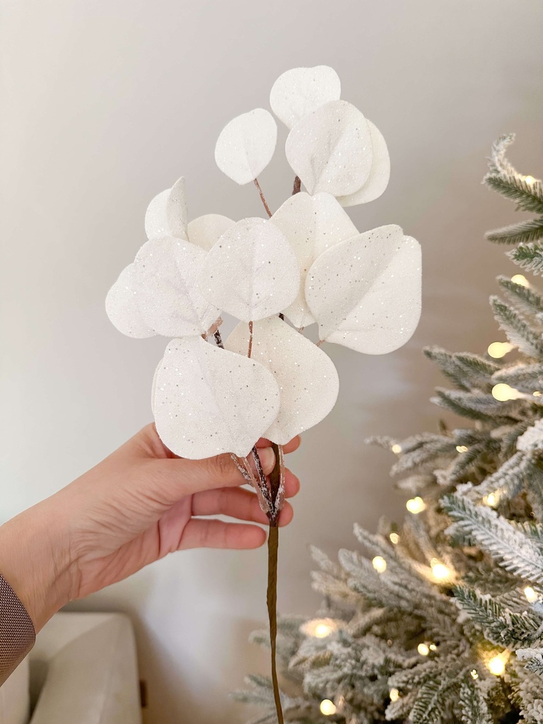 Rama de eucalipto blanco escarchado