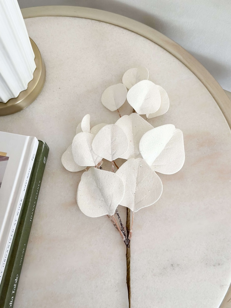 Rama de eucalipto blanco escarchado