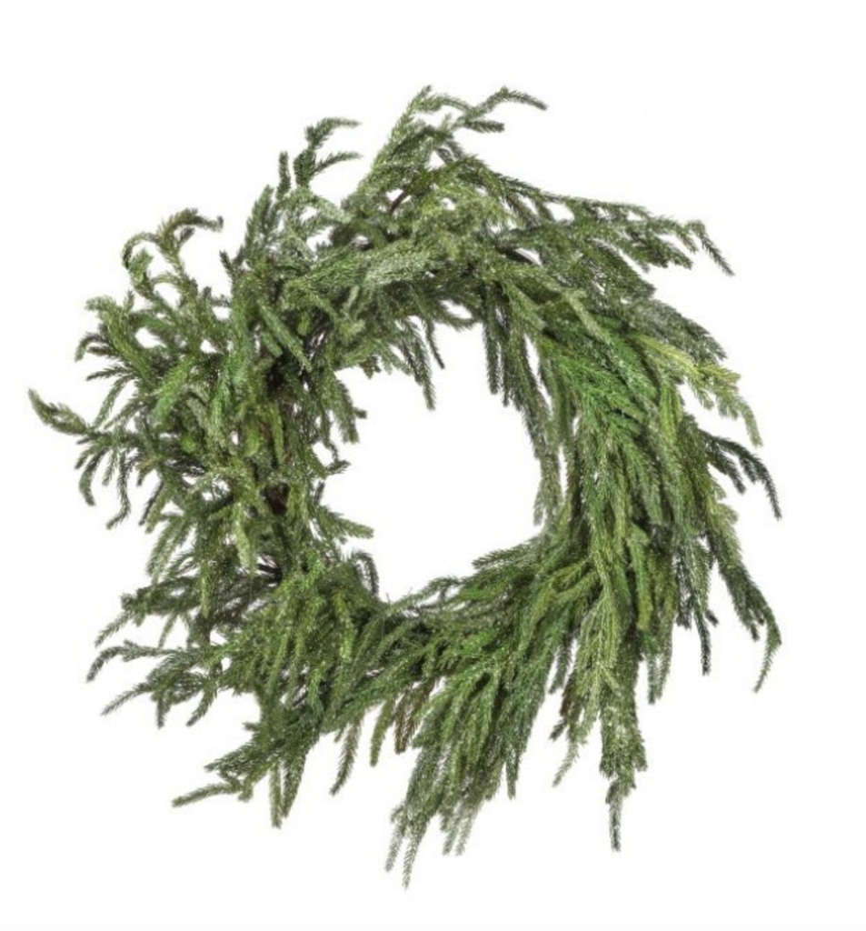 Corona nevada de pino norfolk