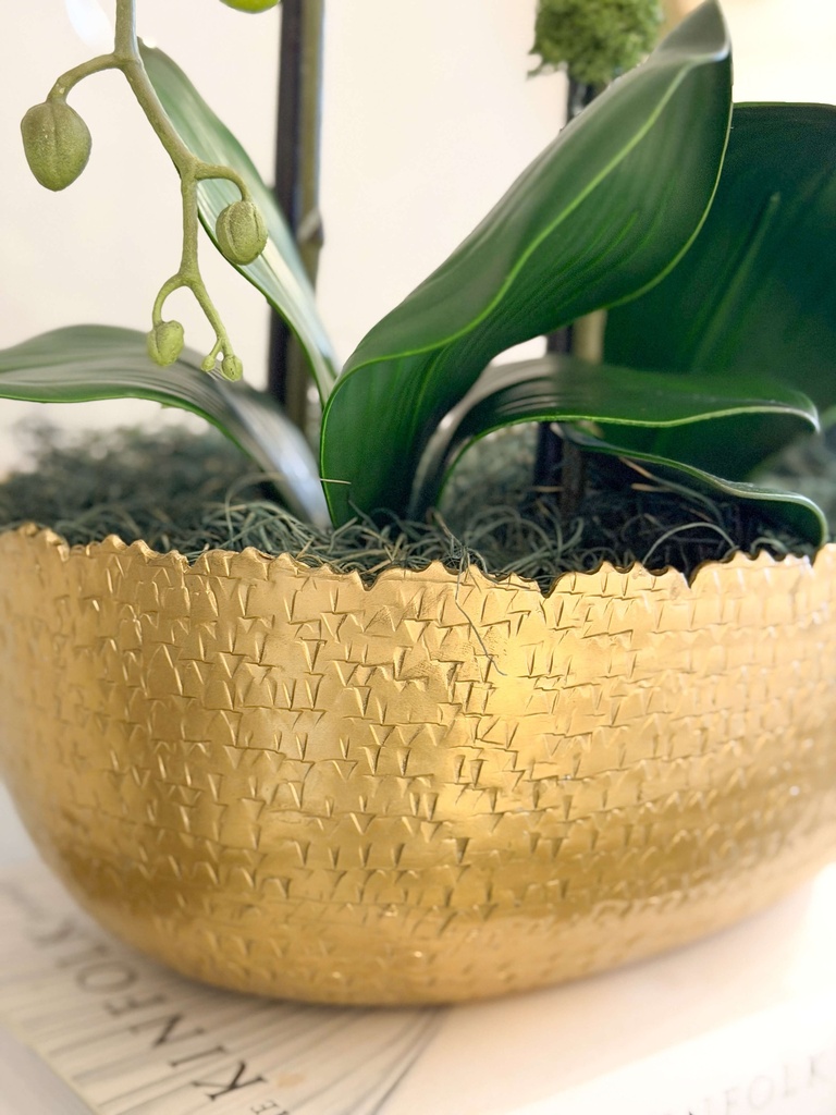 Arreglo de orquidea en base ovalada