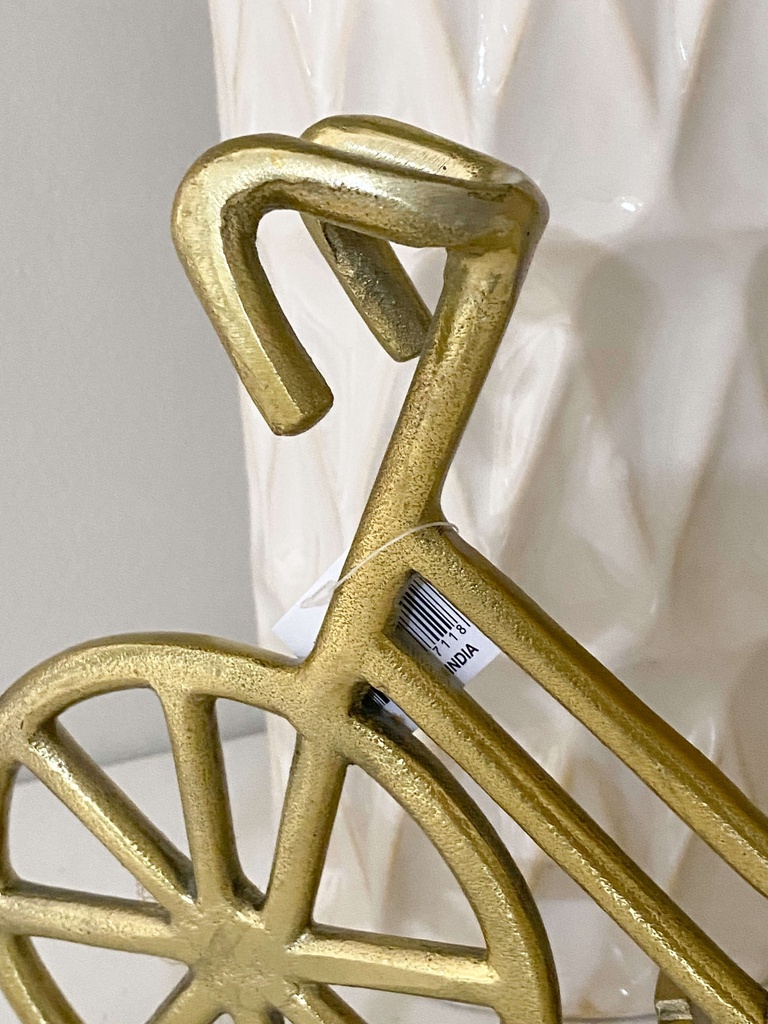 Bicicleta de metal (2 colores)