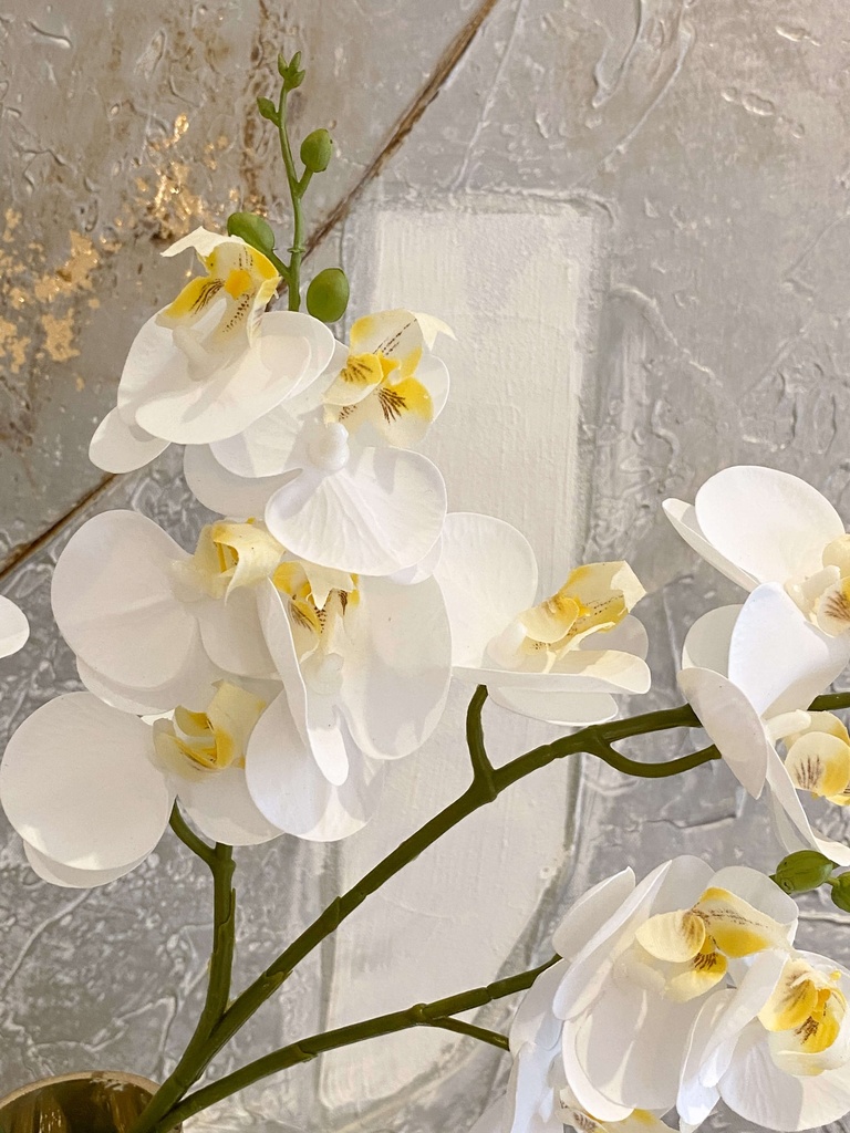 Mini Orquidea con 3 ramas