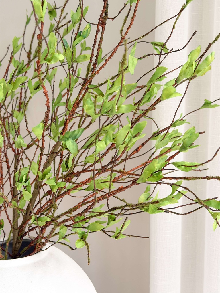 Rama verde con retoño