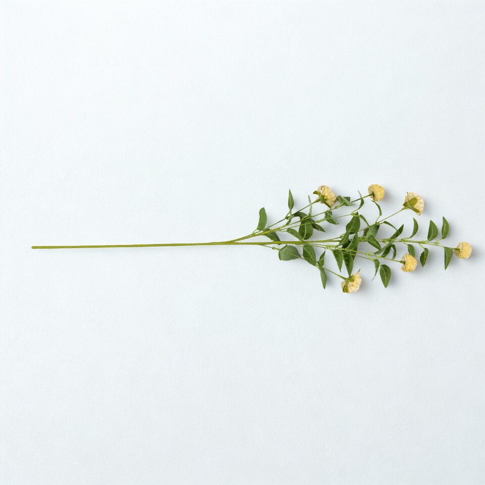 Rama de crisantemo (2 Colores)