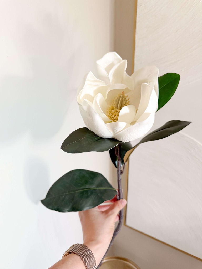 Rama de magnolia blanca