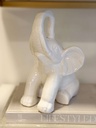 Elefante blanco sentado