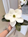 Magnolia blanca tacto real