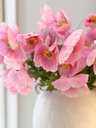 Bunch de 3 ramas poppy rosadas