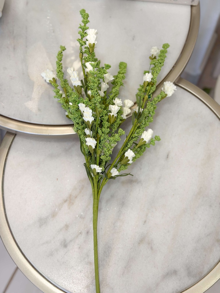 Rama de bayas de trebol blanca