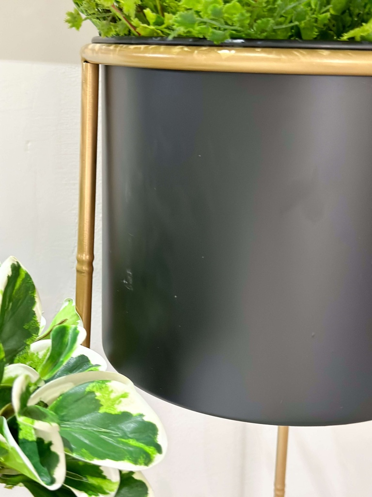 Set de 2 Maceteras Negras en Pedestal Dorado