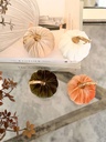 Velvet Pumpkins tallo dorado (4 colores)
