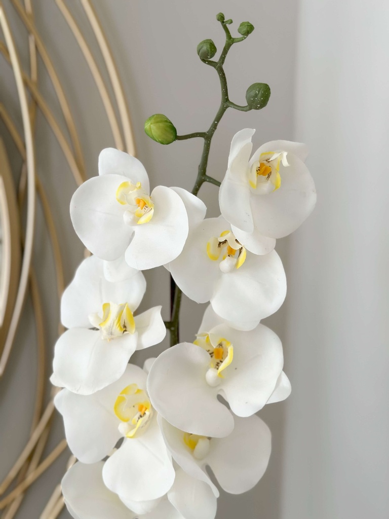 Orquidea en base martillada