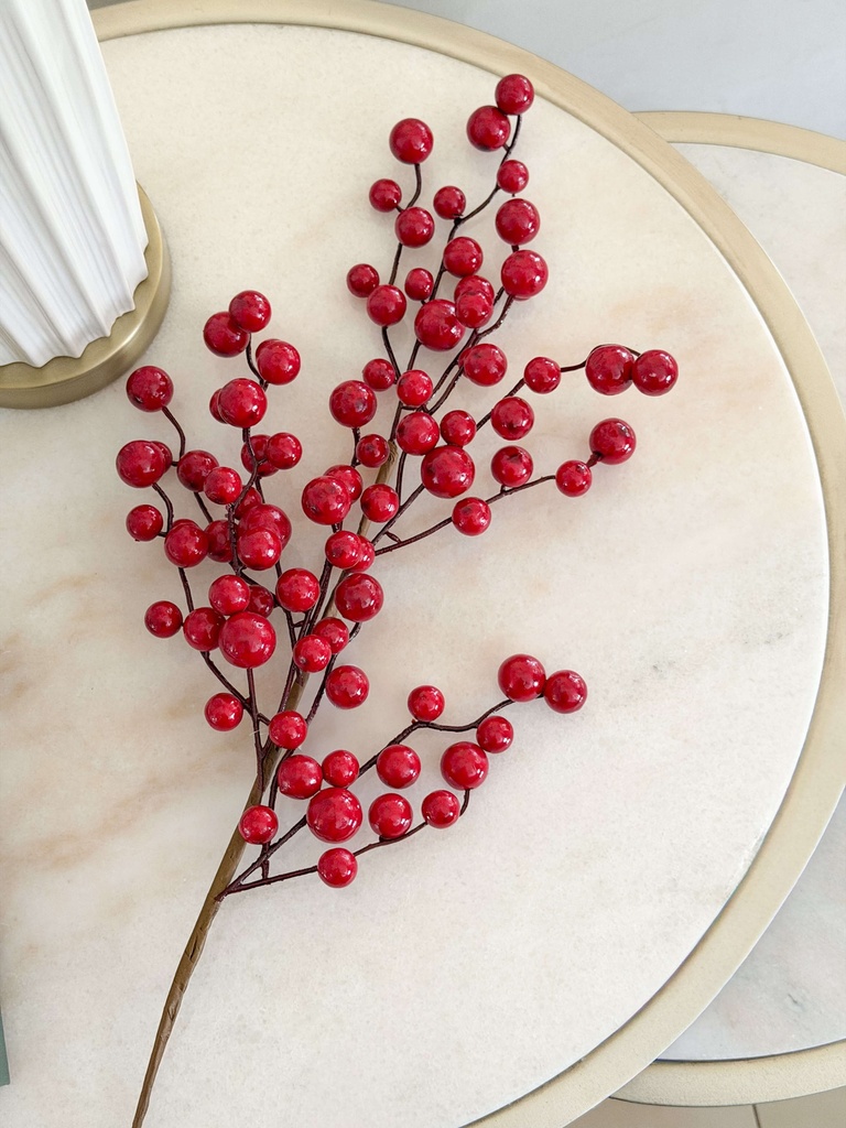 Rama de berries rojos brillantes