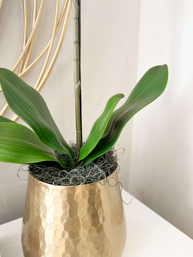 Orquidea en base martillada