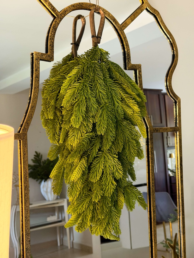 Lagrima de pino noble fir
