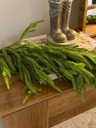 Guirnalda de pino norfolk tacto real 60"