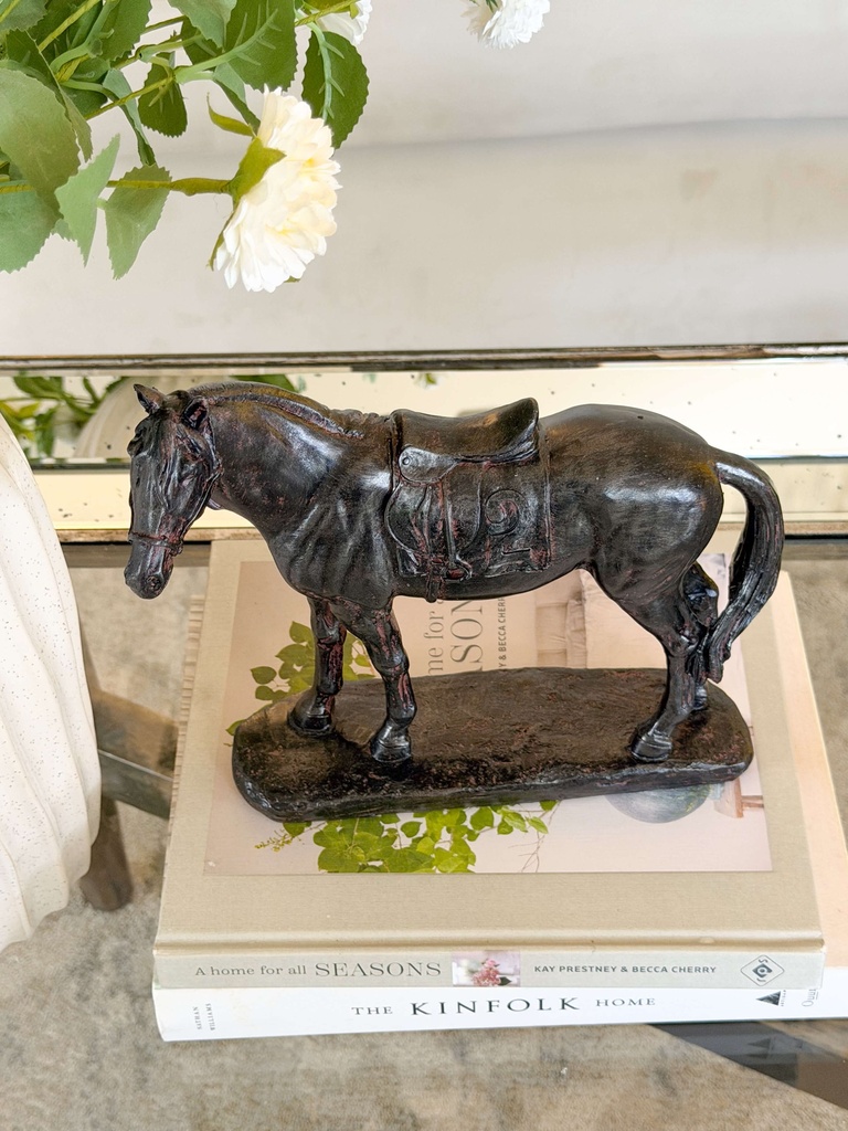 Caballo negro brillante