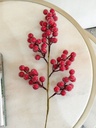 Rama de berries rojas azucaradas