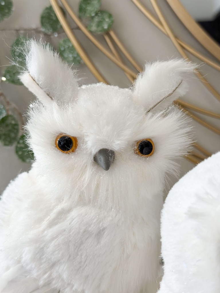 Set de 2 Buhos Blancos