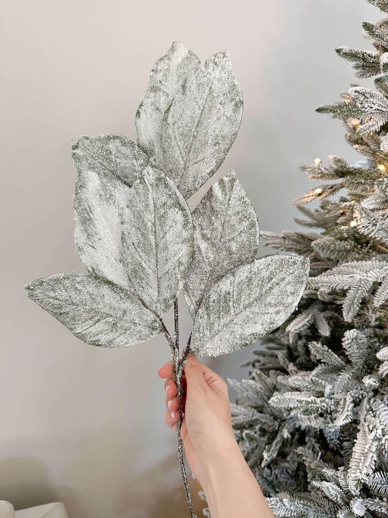 Rama Hoja de Magnolia Nevada