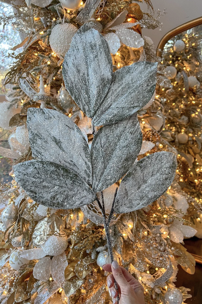 Rama Hoja de Magnolia Nevada