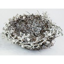 Nido de ramitas nevado con escarcha