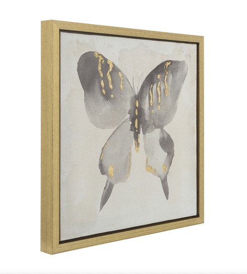 Set de 2 cuadros de mariposa