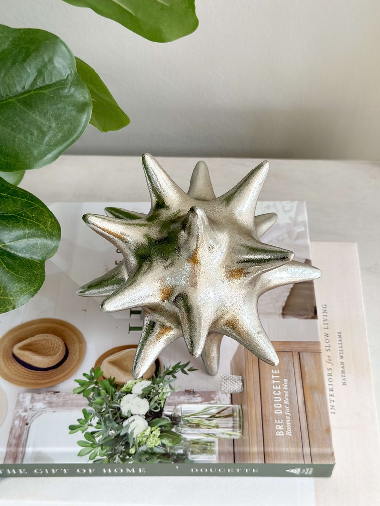 Estrella plateada decorativa