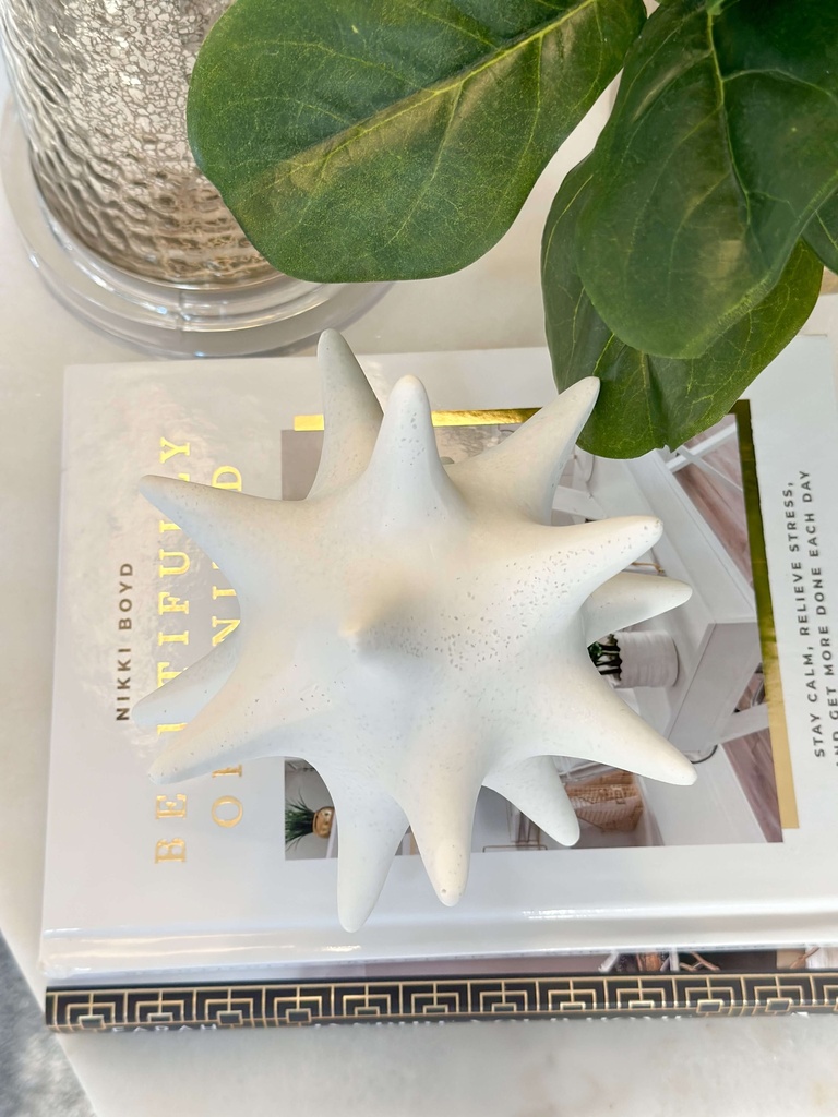 Estrella Blanca Decorativa