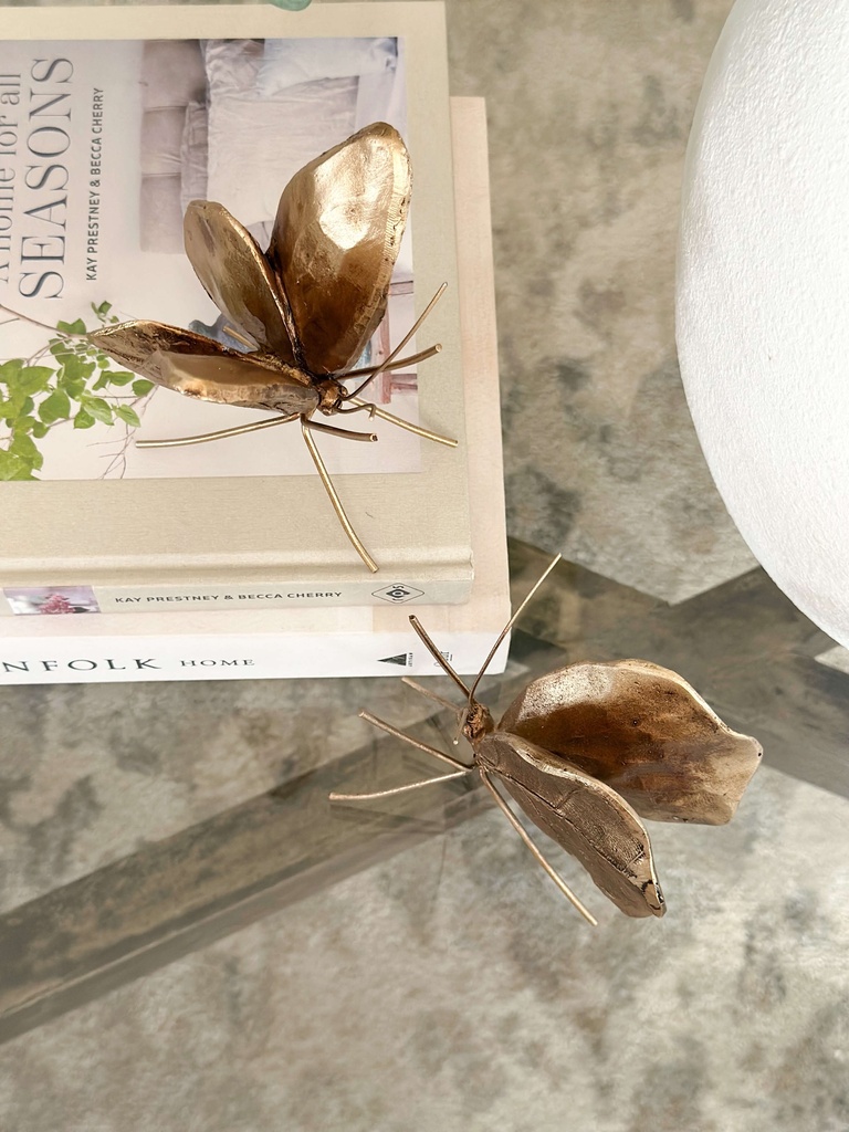 Set de 2 mariposas ala forma de hoja