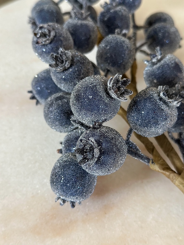 Rama de cranberry azul