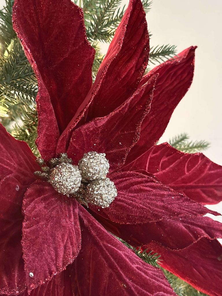 Pascua velvet oversized roja