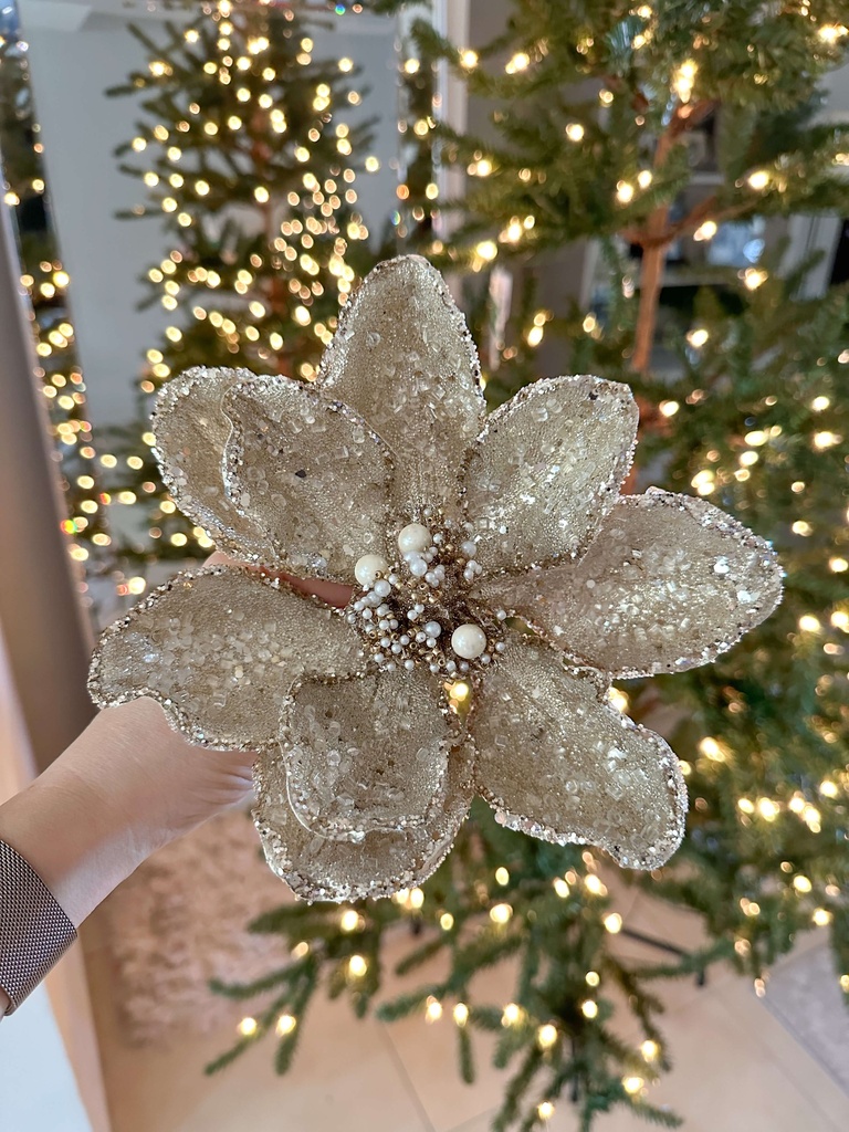 Magnolia dorada efecto nevada