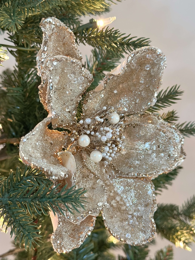 Magnolia dorada efecto nevada