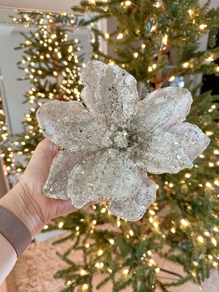 Magnolia platino Ice