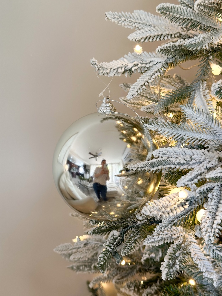 Esfera plateada brillante