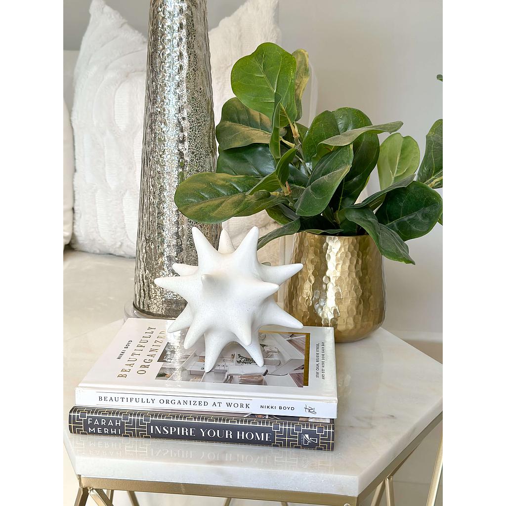 Estrella Blanca Decorativa