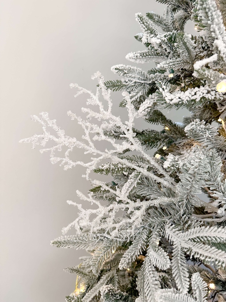 Rama blanca nevada jeweled