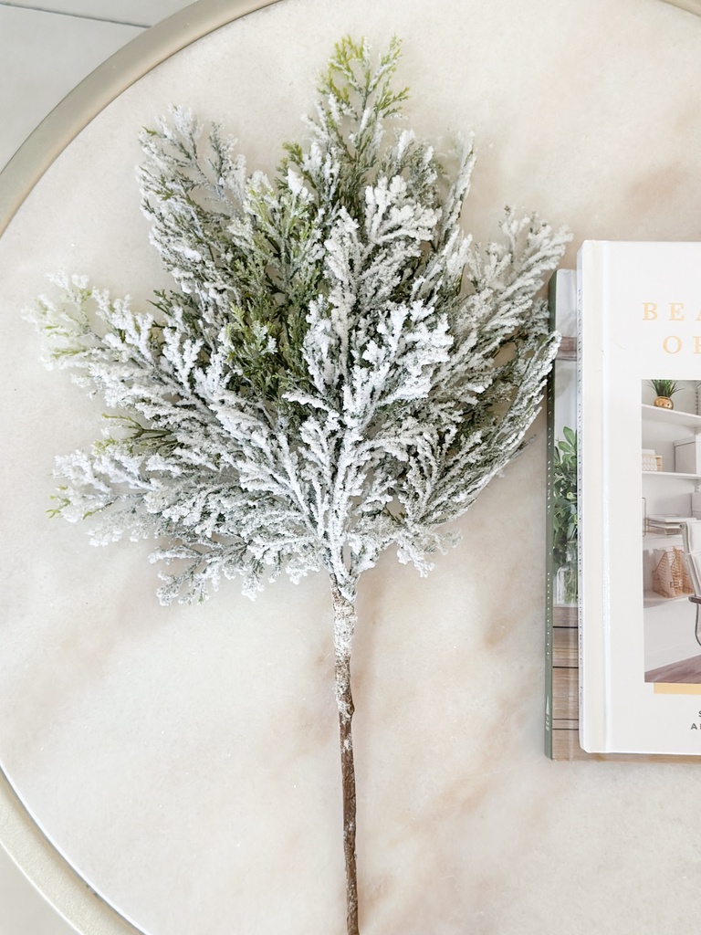 Rama de cedro nevado