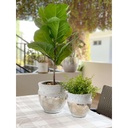 Macetera de mesa (2 tamaños)