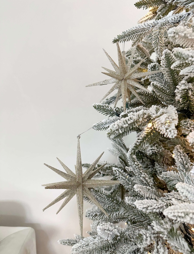 Ornamento de Estrella champagne (2 tamaños)