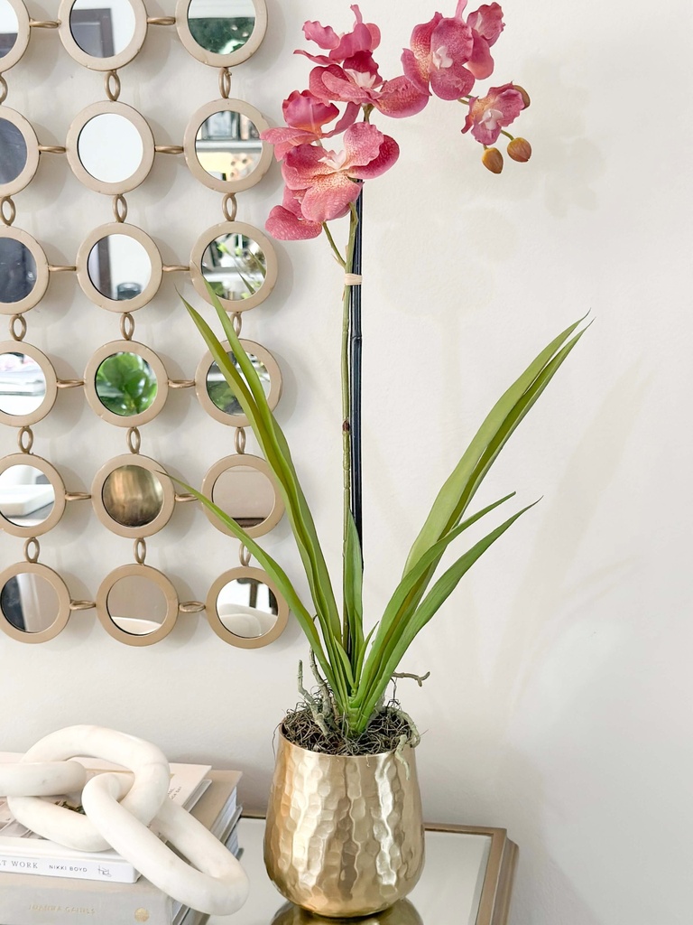 Rama de orquidea morada con hojas