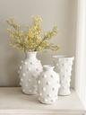 Bases blancas polka dots