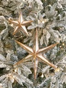 Ornamento de estrella dorada espejada (2 Tamaños)