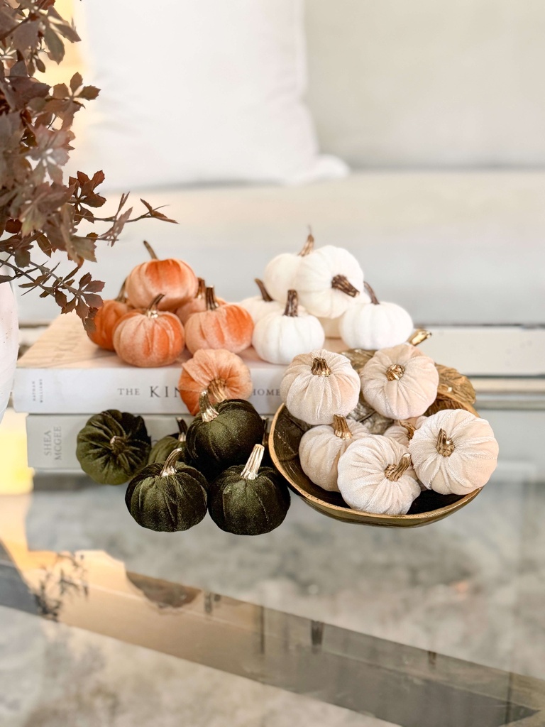 Set de 6 mini pumpkins (4 Opciones)