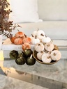 Set de 6 mini pumpkins (4 Opciones)