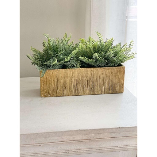 Arreglo Rectangular Rasgado