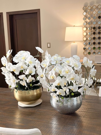 Arreglo de orquidea con 6 ramas en base de metal