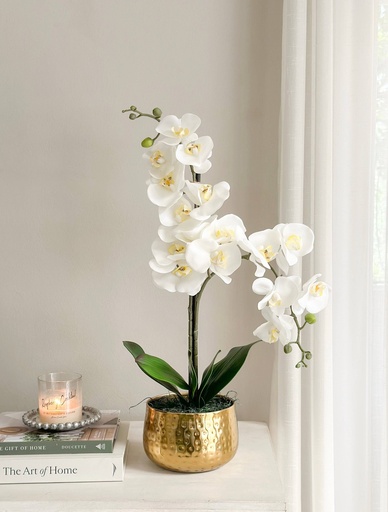 Arreglo orquideas base hammered brass